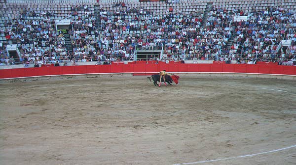 Slide16.JPG